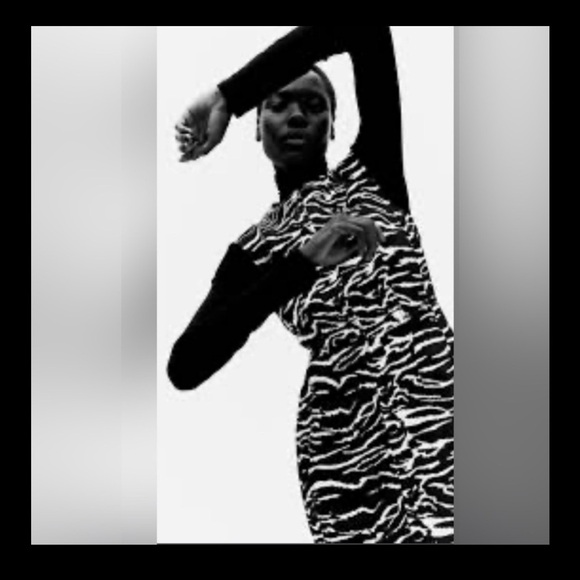 Dresses & Skirts - Chic H&M Black & White Zebra Print Sleeveless Dress vedio